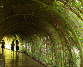 Les jardins d’Oasiria