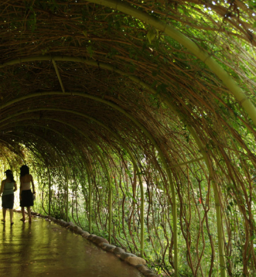 Les jardins d’Oasiria