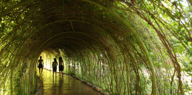 Les jardins d’Oasiria