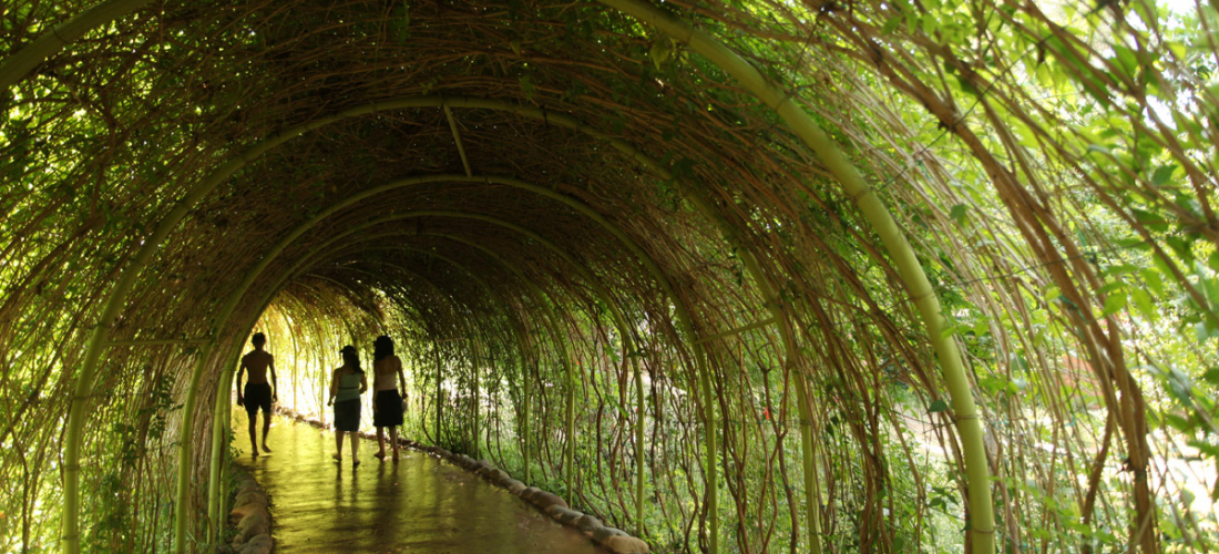 Les jardins d’Oasiria