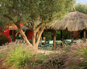 Le café Ola