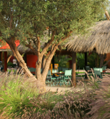 Le café Ola