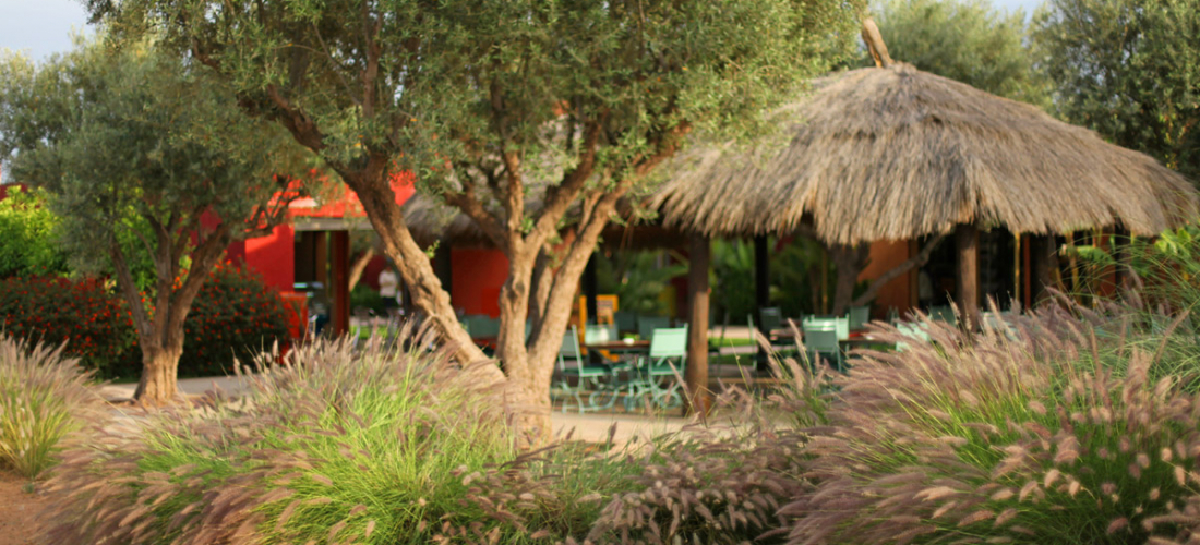 Le café Ola