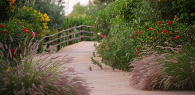 Les jardins d’Oasiria