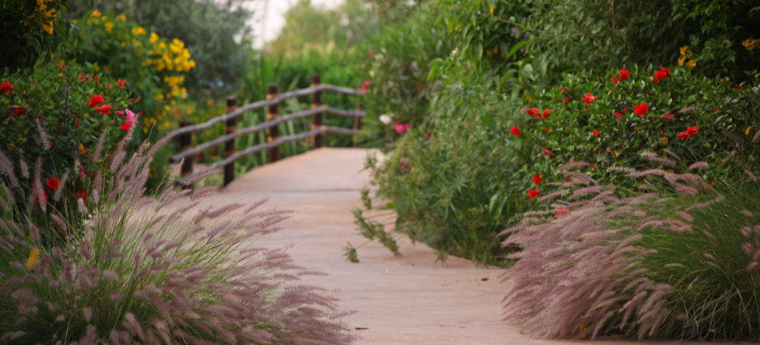 Les jardins d’Oasiria